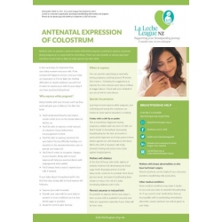 Antenatal Expression of Colostrum